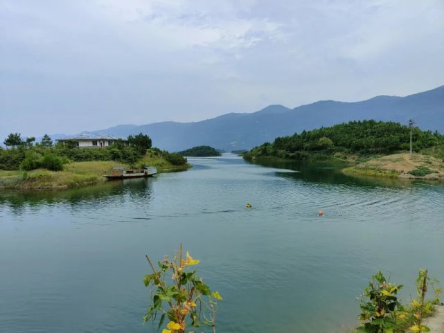 盛夏東南行黃石仙島湖世界第三大千島湖原來這麼仙