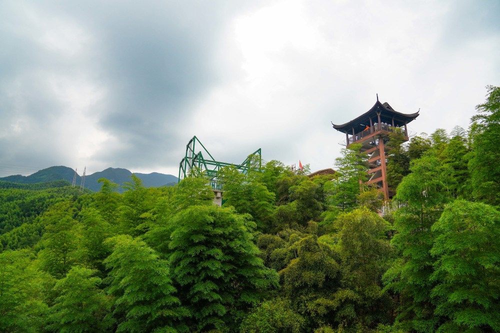 夏日清凉之旅|安吉大竹海秒拍美照刷爆好友圈