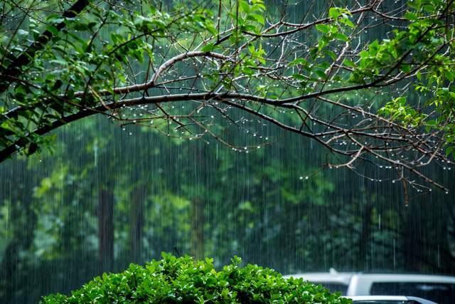 摄影随笔:夏季到来雨丝长 如何拍摄雨丝