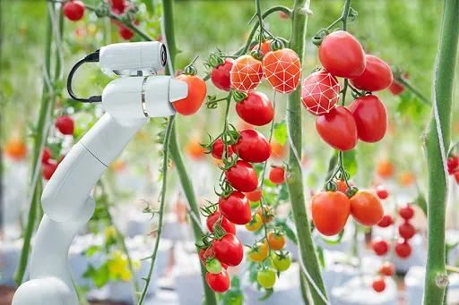 AI+农业 “农业”自动化终于迎来了春天！