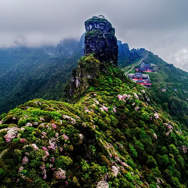 央視《焦點訪談》關注梵淨山!