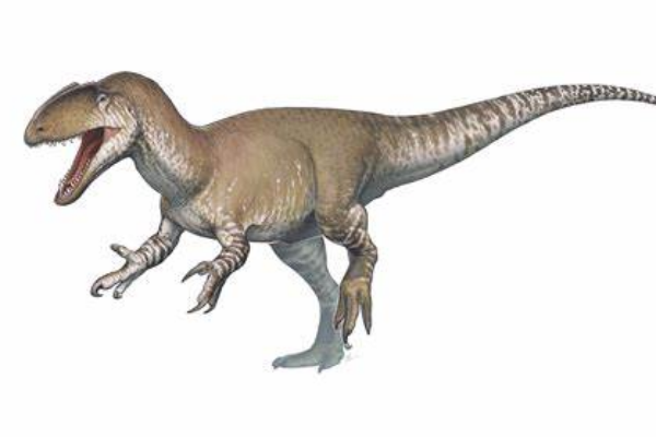 史前巨兽——新猎龙