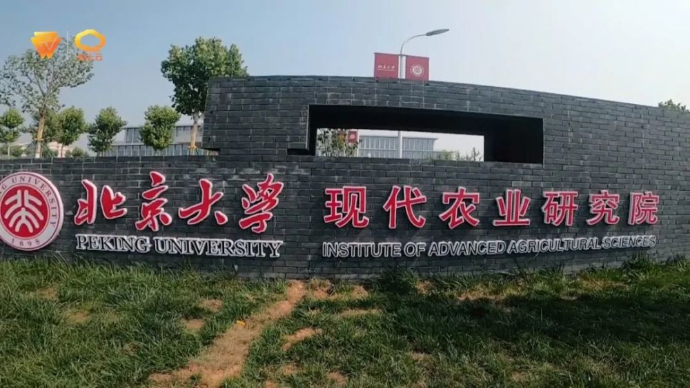 是一段招才引智的佳话最终落地潍坊3年建设经过6年孕育北京大学现代