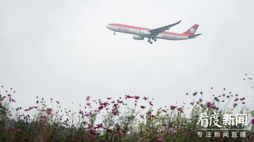 270°透明视野，熊猫空铁双流造！