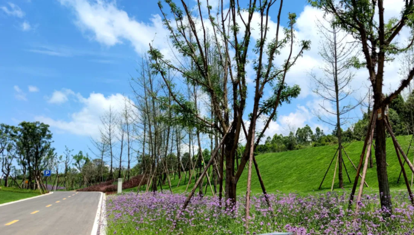 观日落赏星月金堂新公园来了高清大图曝光