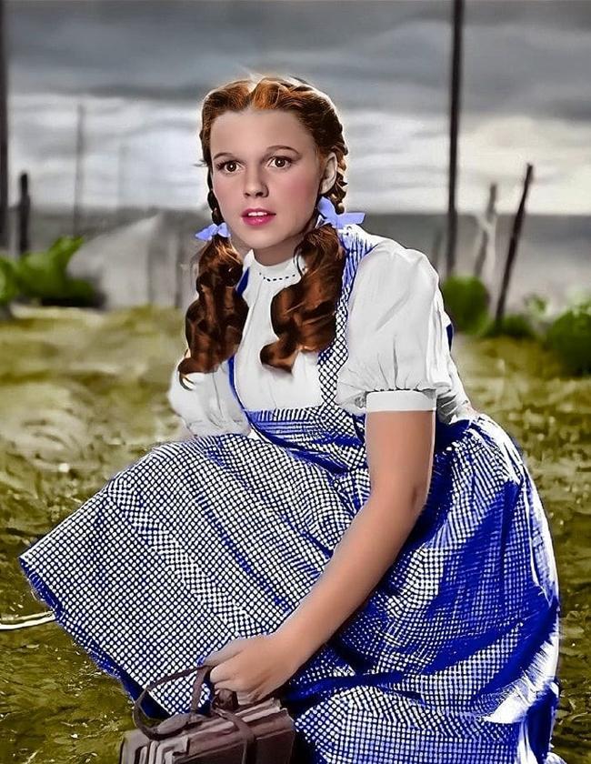 失踪近50年终于寻获!《绿野仙踪》著名蓝白格纹裙重见天日