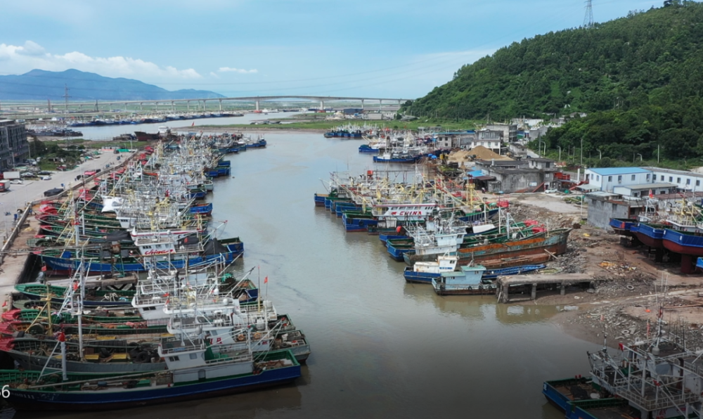 龙王塘渔港图片