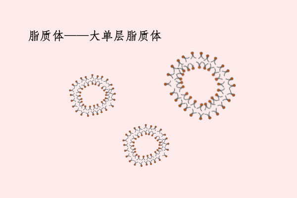 你知道脂质体吗