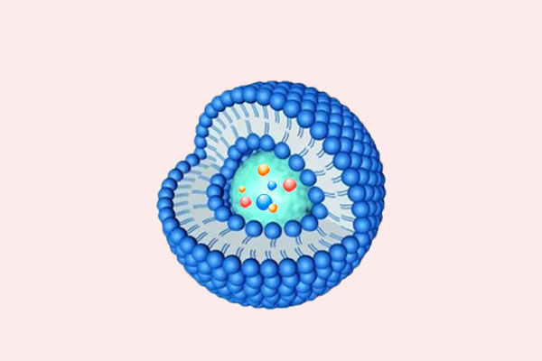 你知道脂质体吗