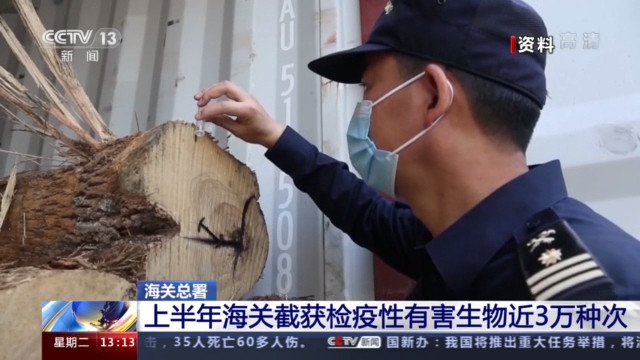 加强口岸动植物疫情监测,严防外来物种入侵,坚决维护国门生物安全