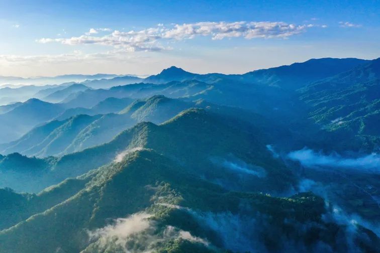 让秦岭绿水青山永续增值