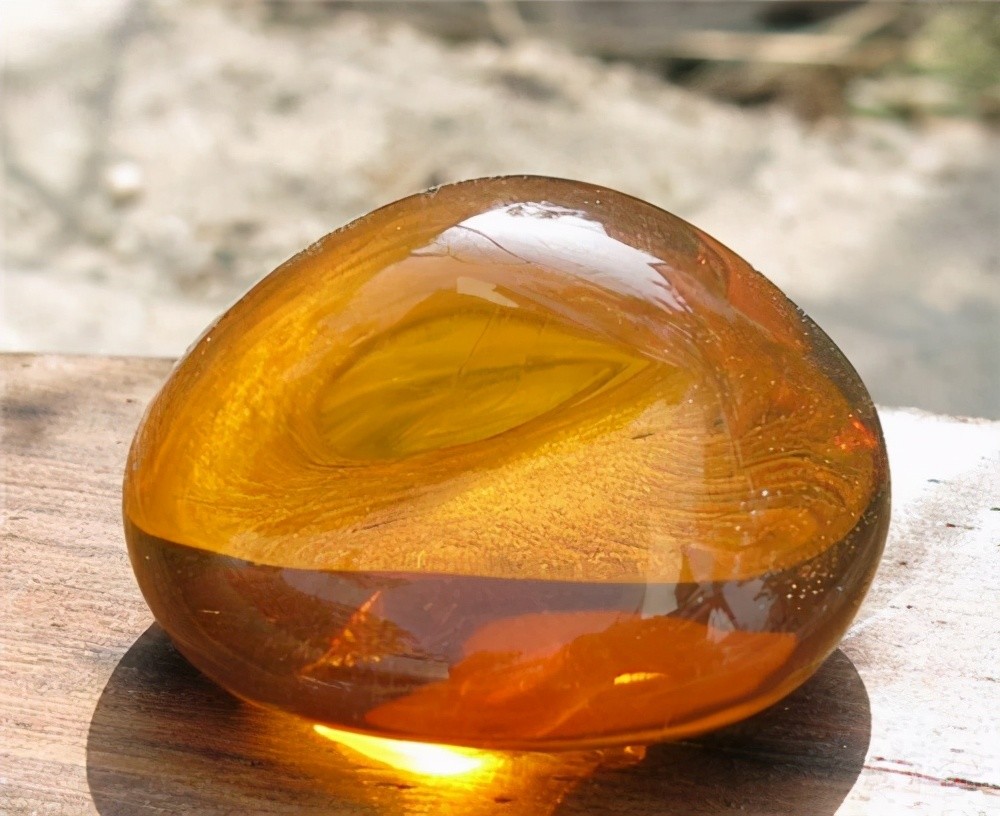 在交配时变成琥珀,4100年后还在被观赏,没有什么比这个更尴尬