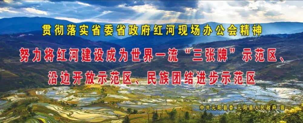 元阳县2021年事业单位高学历人才公开招聘公告