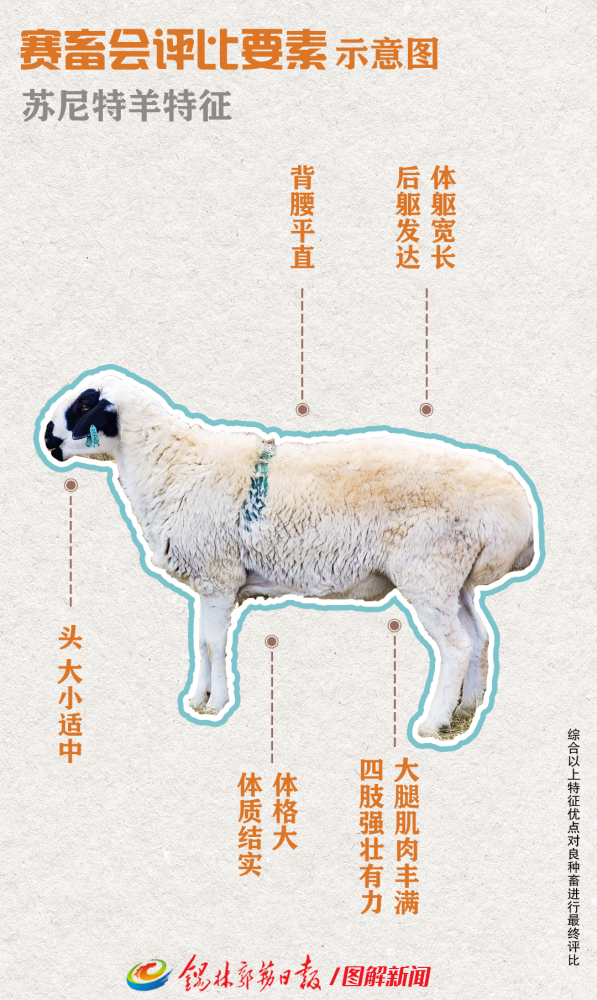 草原选美收官你觉得谁最美