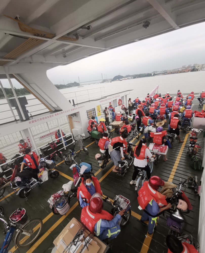 直击广州新造渡口繁忙渡船缝合创新城珠江两岸