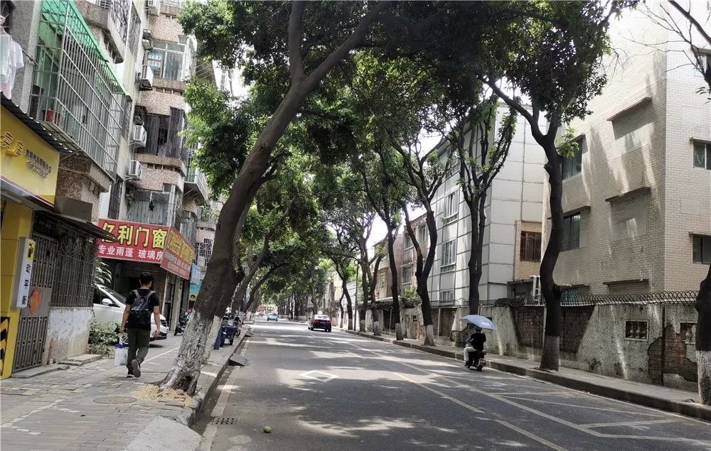 番禺洛溪新城这段路实施半封闭,街坊出行请注意!