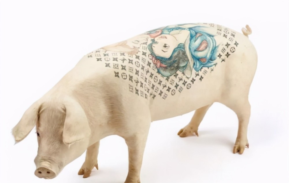 外国小伙给猪纹身,因花纹奇特被香奈儿做成限量版包包,净赚50万