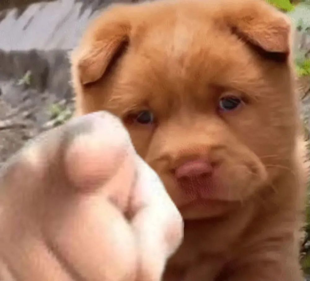 可可爱沙雕表情包|手指屏幕