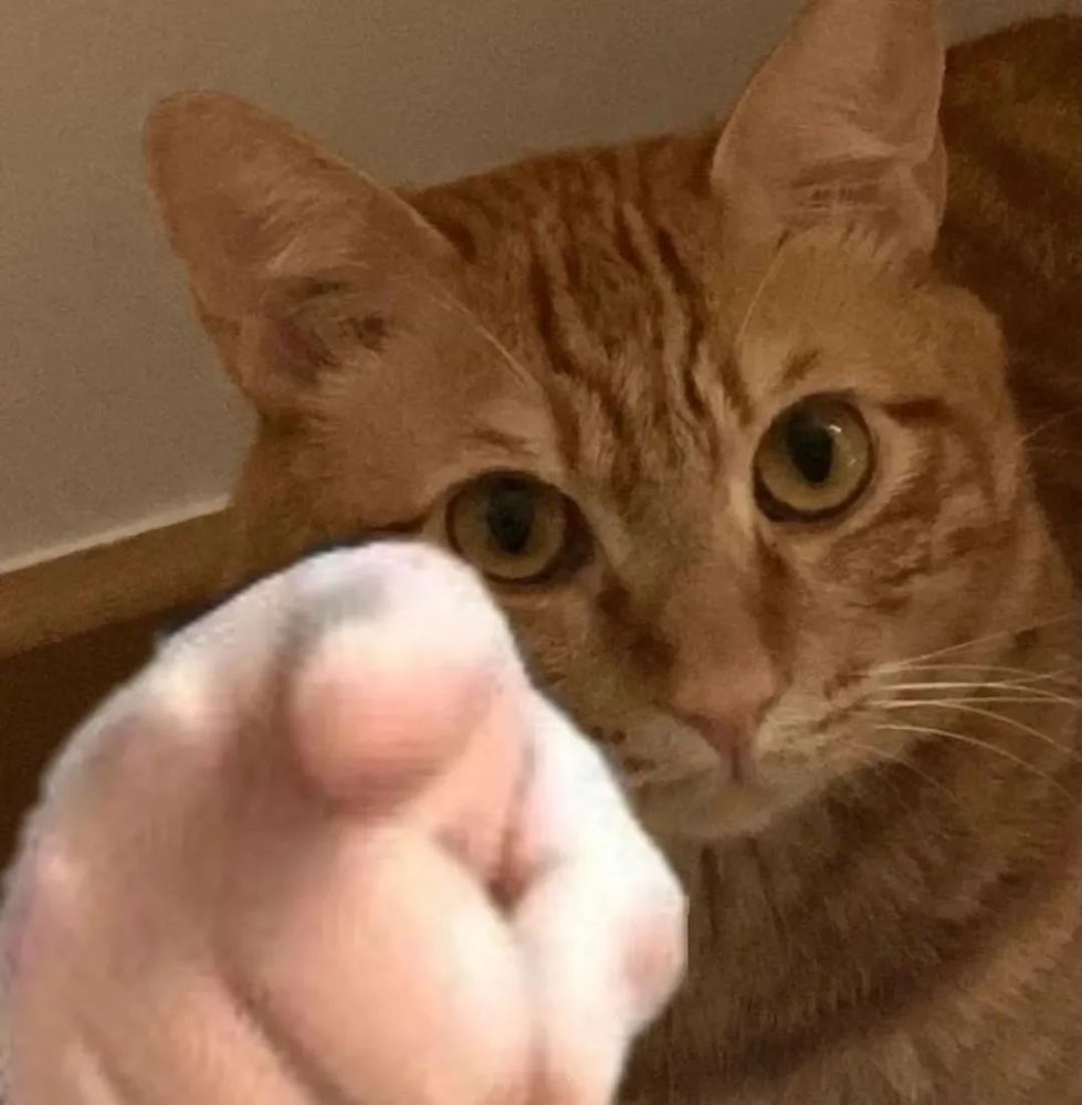 可可爱沙雕表情包|手指屏幕