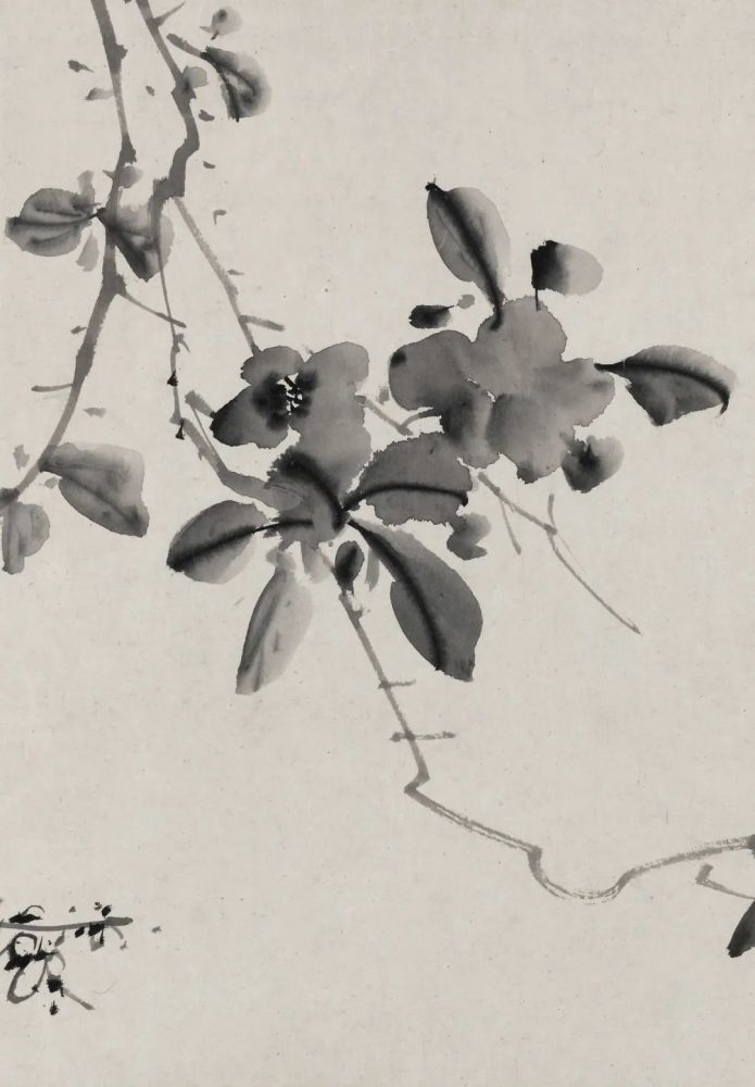 徐渭的墨花这才叫玩水墨