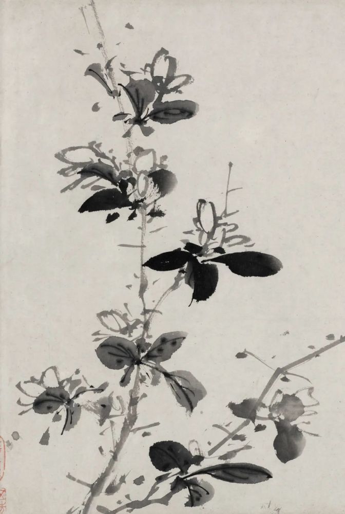 徐渭的墨花——这才叫玩水墨