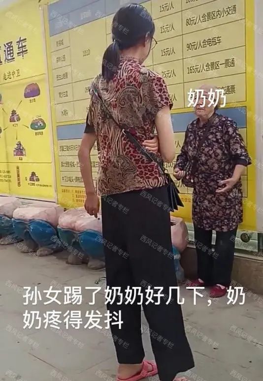 女子生拔孔雀羽毛,只为哄娃:当妈的越手贱,孩子越"缺德"