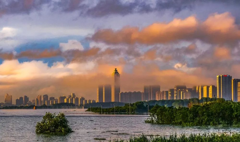 带你打卡不一样的欢乐芜湖欢乐芜湖颂扬党恩美术书法摄影优秀作品展