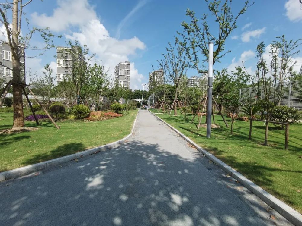 13800㎡青浦最大口袋公园开放休闲漫步再添好去处