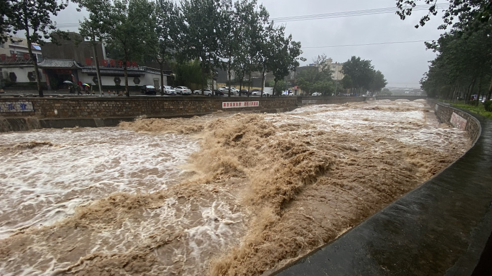 停水停电缺饲料,河南暴雨致部分养猪场受损,当地养殖户:正在自救