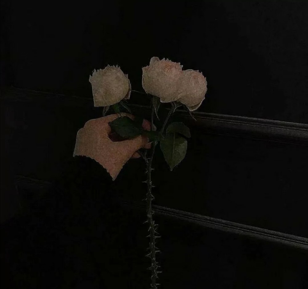 "有哪些让我们忍俊不禁的朋友圈内容?