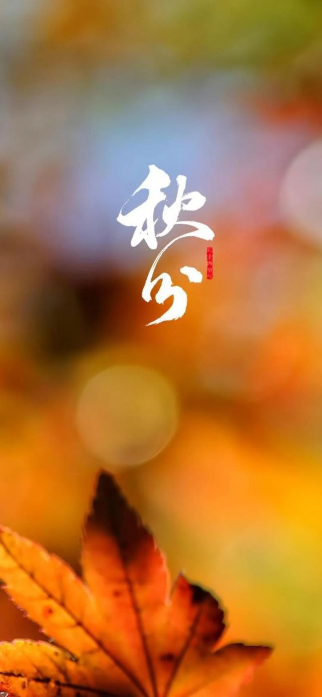 高清壁纸|24节气秋分唯美图片手机壁纸