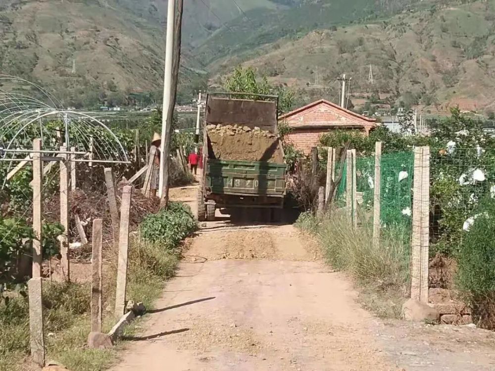 我为群众办实事力角镇米汤村镇村携手齐参与铺就村民致富路