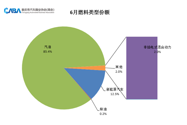 新能源占比再创新高 重庆6月销量达4万辆