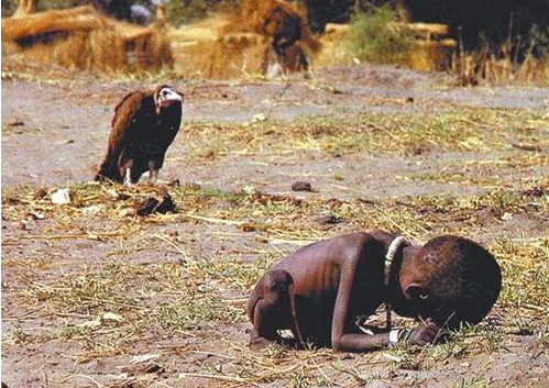 照片中饿得快昏厥的小男孩最后结局如何了|摄影师|非洲|饥饿的苏丹