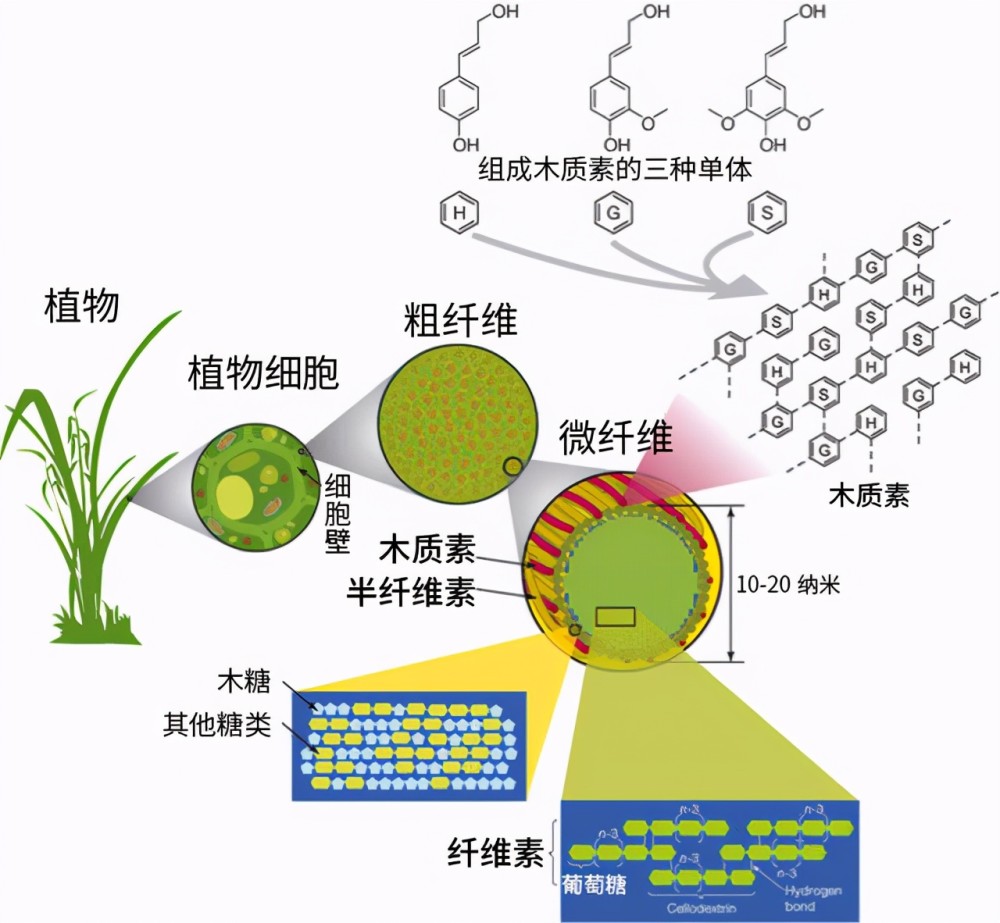 牛太牛了牛胃竟然能消化塑料科学家世界难题不难了