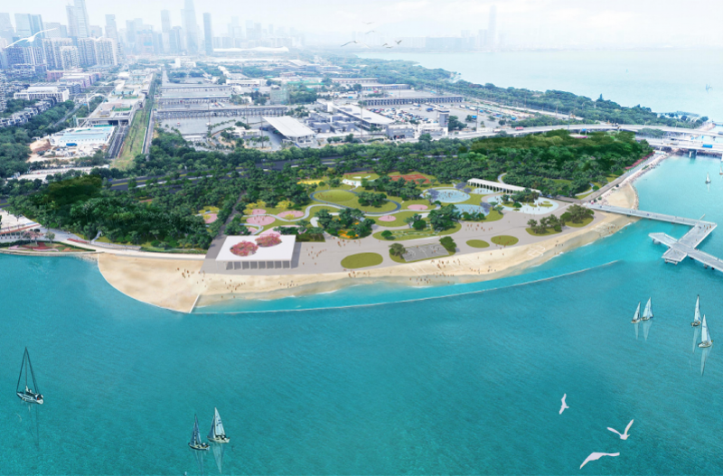 深圳湾拟建人工沙滩惹争议,部门最新回应:仅供观光不戏水