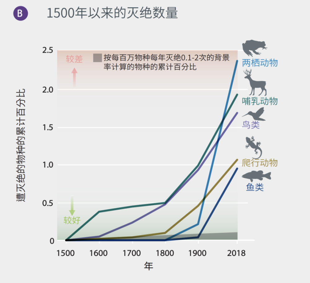 生物多样性减少 丧失图片