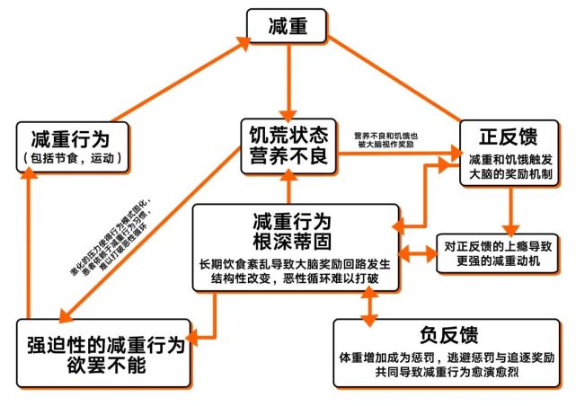 节食行为一旦成瘾,就会形成一个自我强化的恶性循环,让人越陷越深!