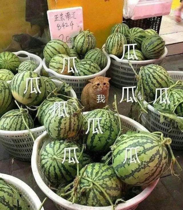 吴亦凡这次的瓜,也让他合作的各大品牌方受到了不小的影响.