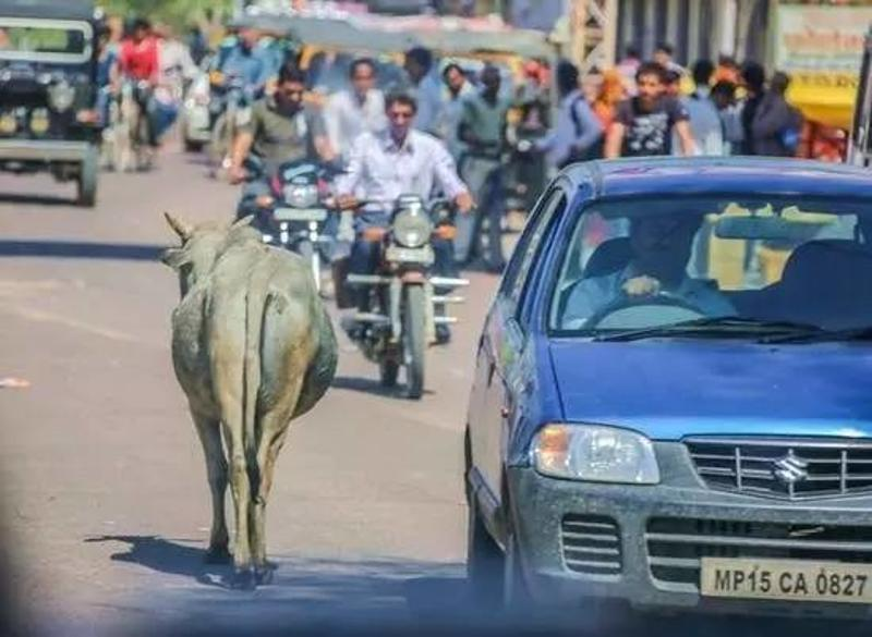 为什么印度很多汽车都没有后视镜？不愧是开了挂的民族！