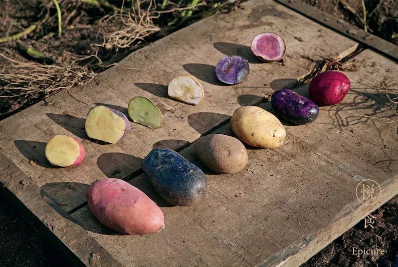 中国人吃土豆地图_腾讯新闻