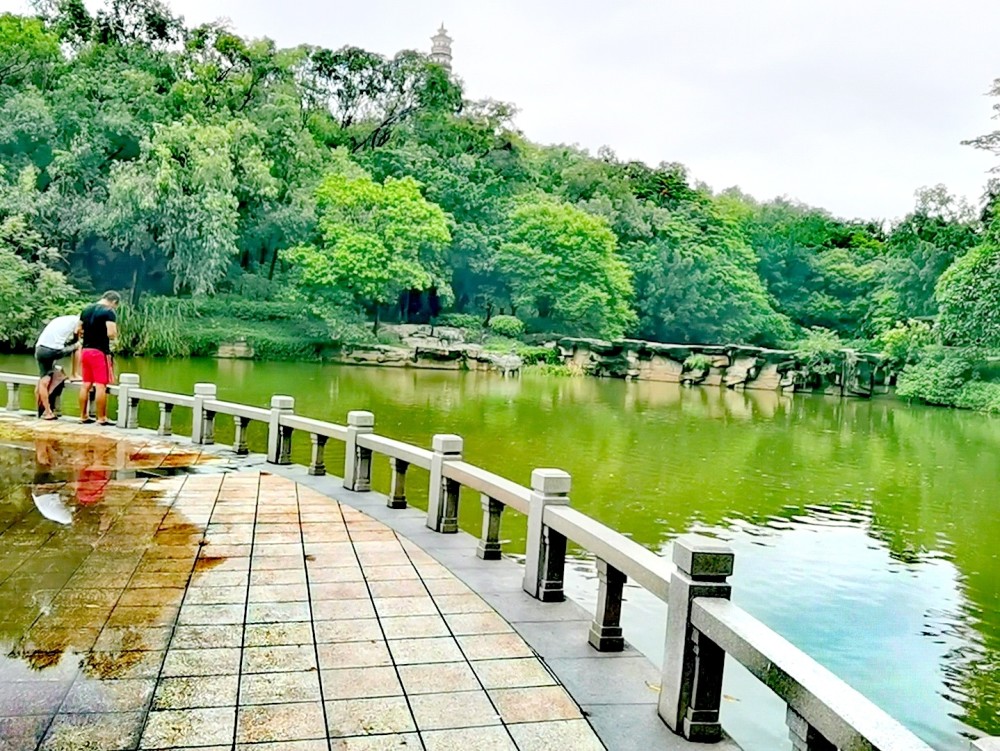 東莞市榴花文化旅遊區,榴花公園_騰訊新聞