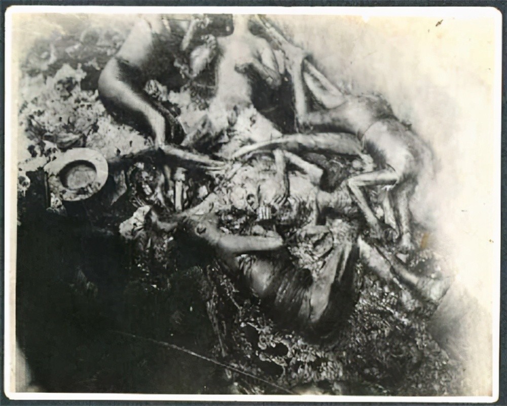 广岛核爆后的惨状图片