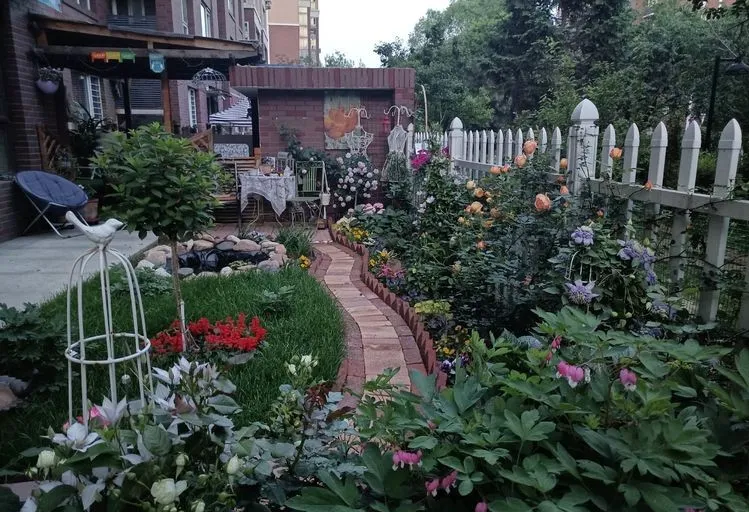 一樓90㎡小院造花園在鬧市中有個院子種花種菜太幸福了