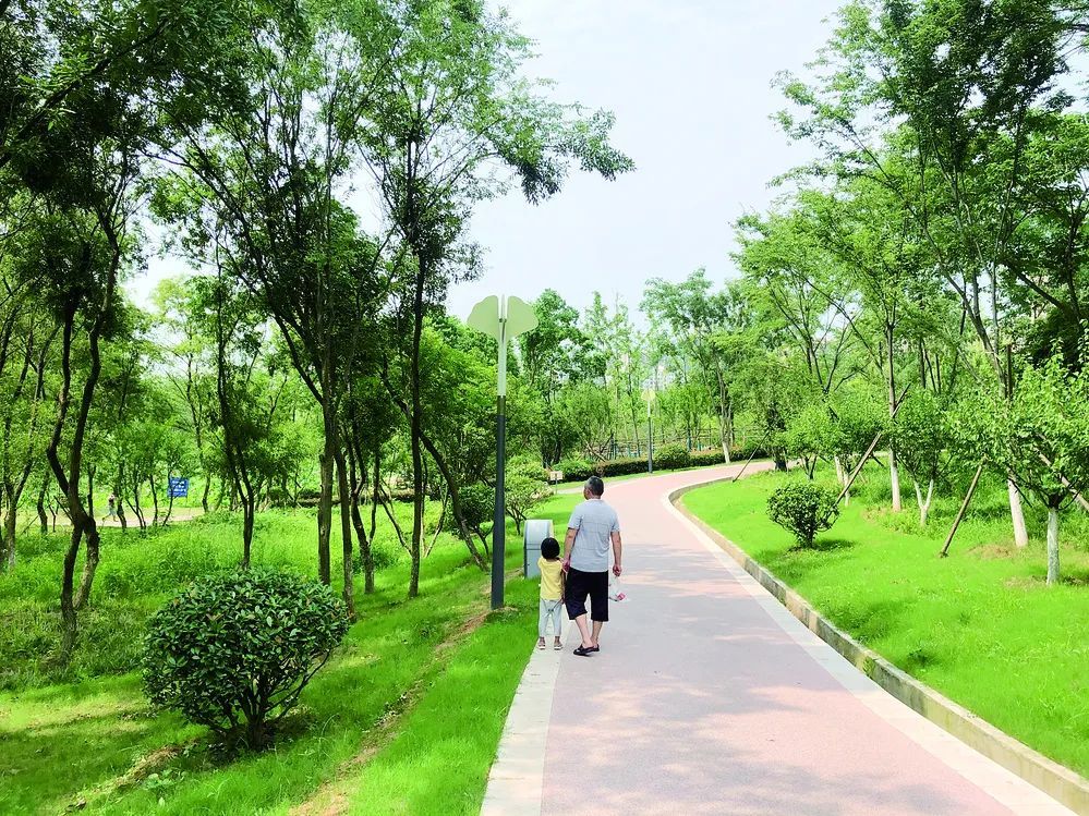 市民在羊山公园内散步.信阳晚报全媒体记者  韩 蕾 摄