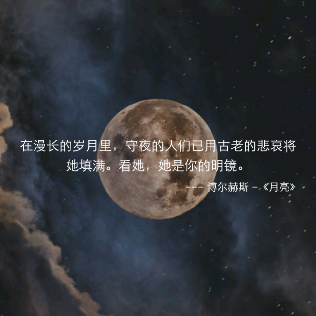 我喜歡你就像 星星會永遠陪著月亮的那種喜歡.