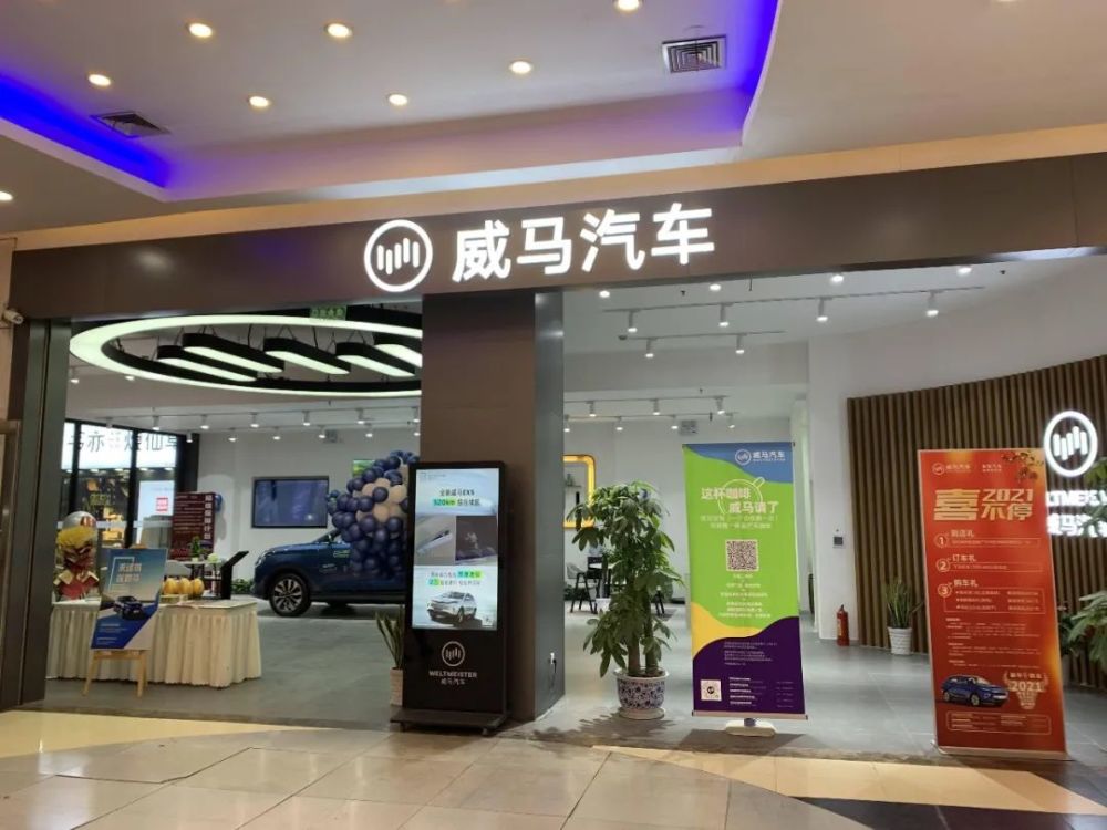 威马的委屈什么时候靠谱也成了劣势