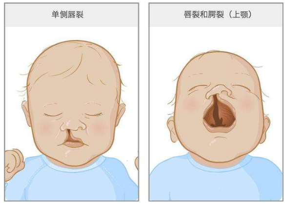 在当时的社会中人们普遍认为对老人和畸形儿实施安乐死是合理的,体面