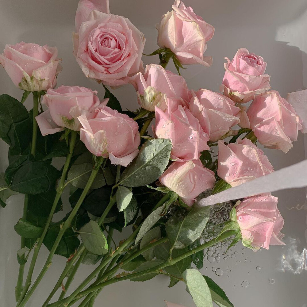 留下一个你忘不了的名字吧