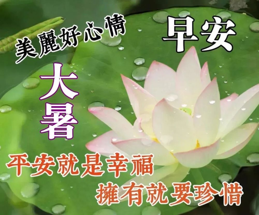 大暑早安,愿你一天好心情!问候语动态图片